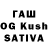 Псилоцибиновые грибы Psilocybine cubensis Fire Qwerty
